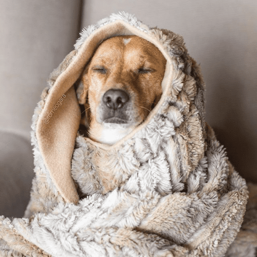 Frio demais  5