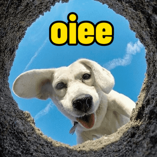 Figurinhas memes  10