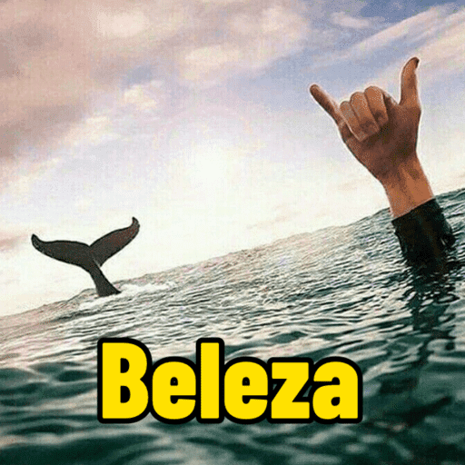 Figurinhas memes  9