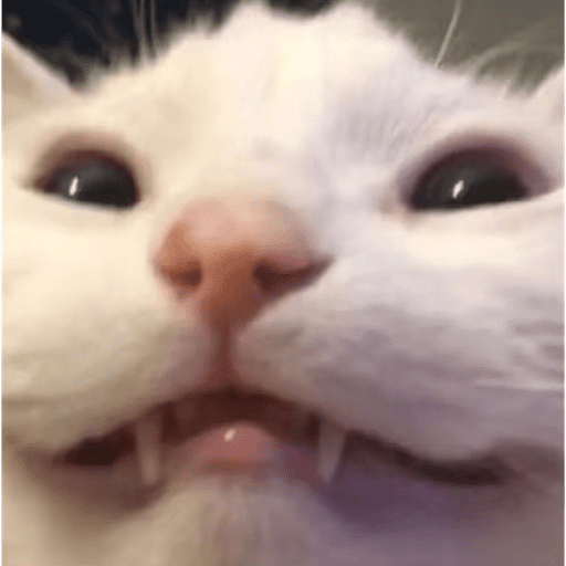 Cat 8