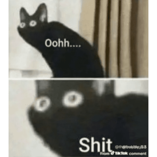 Cat 18