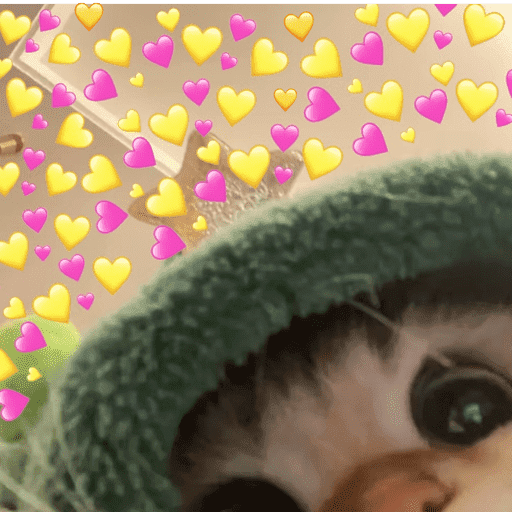 Cat 13
