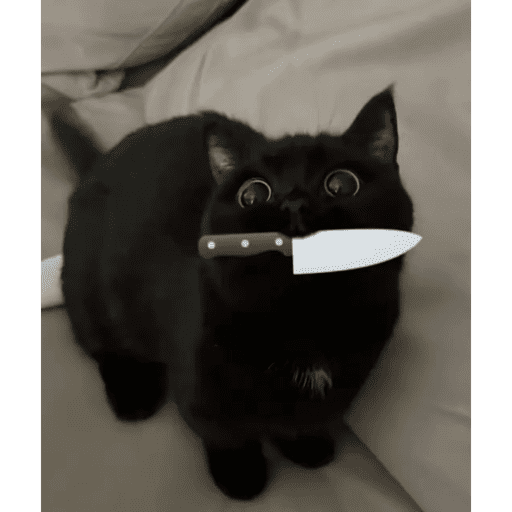 Cat 3