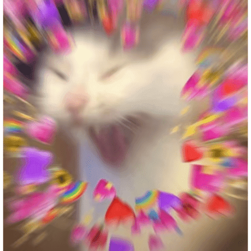 Cat 17