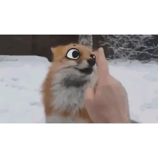 Muevelo 1