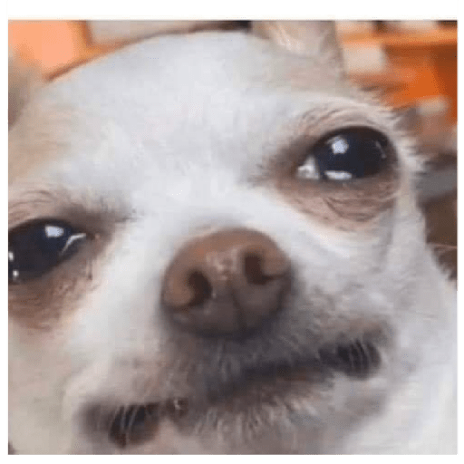 ªªª 9