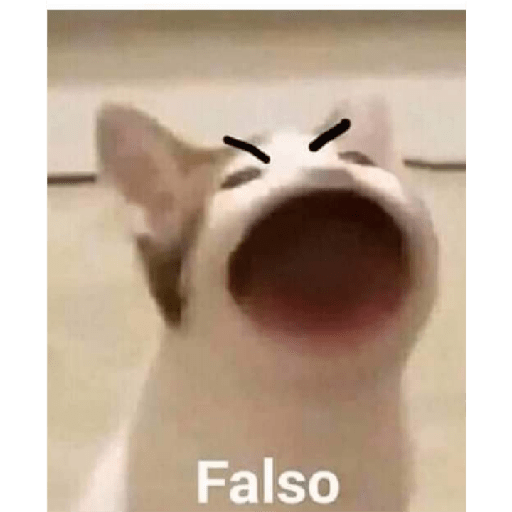ªªª 8