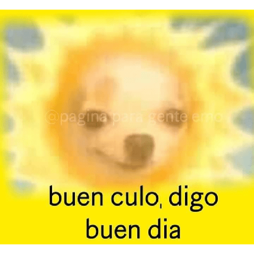 ªªª 19