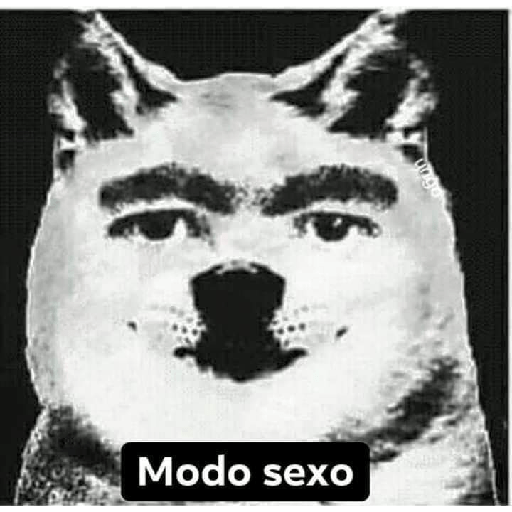 ªªª 22