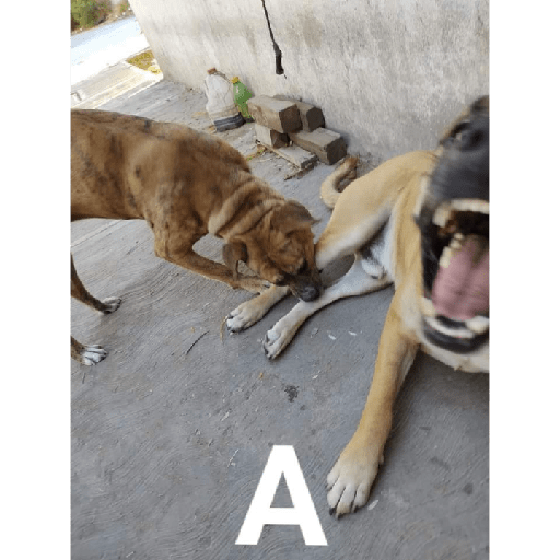 ªªª 1