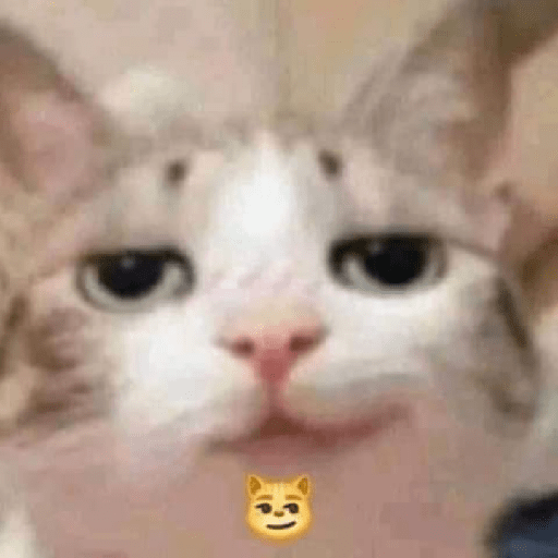 ªªª 12