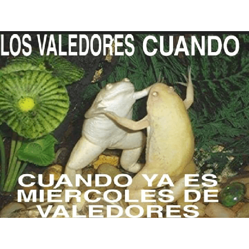 ªªª 20