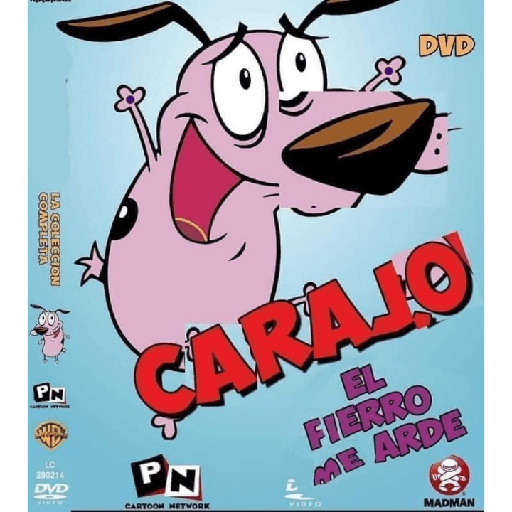 ªªª 14