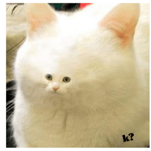 ªªª 4