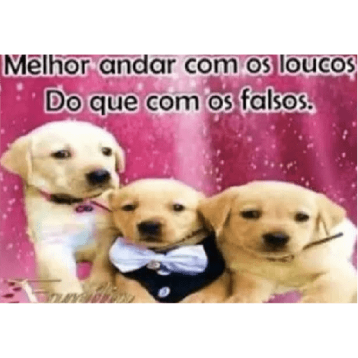 Memes - pt.6 29