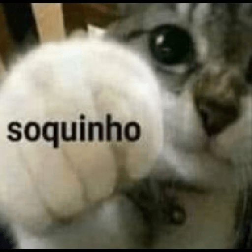 Memes - pt.6 22