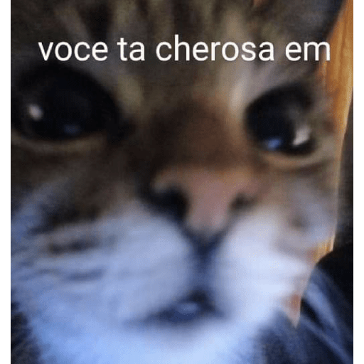 Memes - pt.6 8