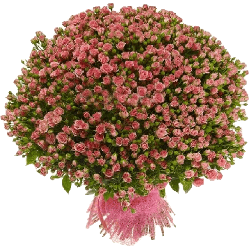 Çiçek🌷💐 17