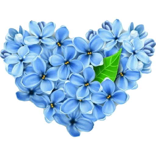 Çiçek🌷💐 3