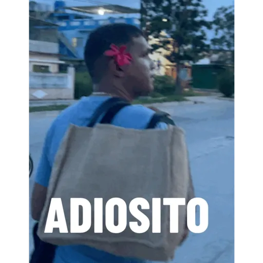 Darle.com 8