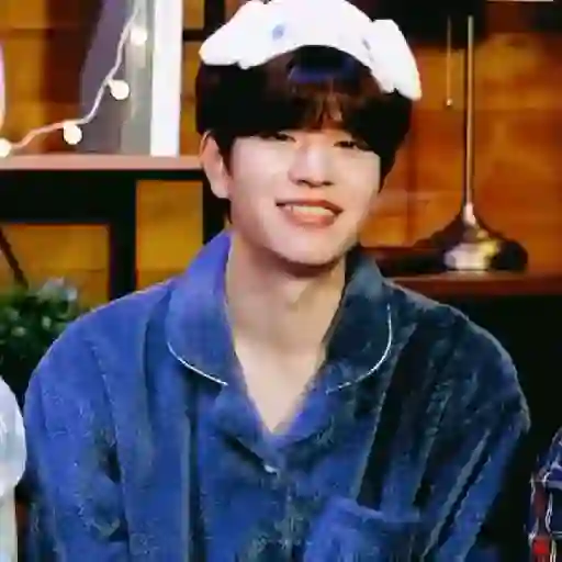 Kim seungmin 18