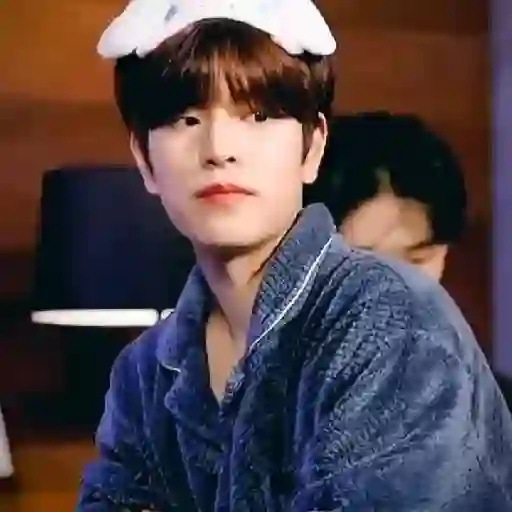 Kim seungmin 20