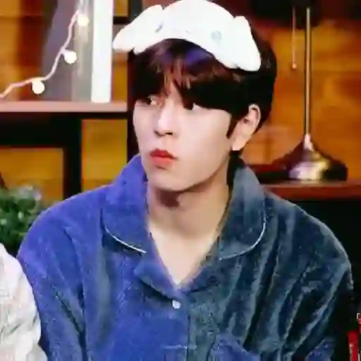 Kim seungmin 21