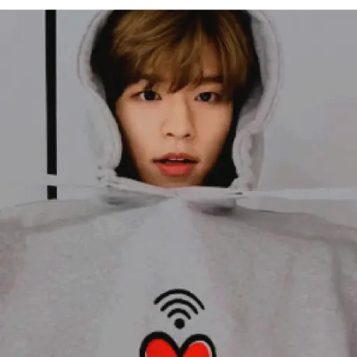 Kim seungmin 9