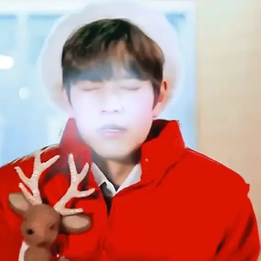 Kim seungmin 15