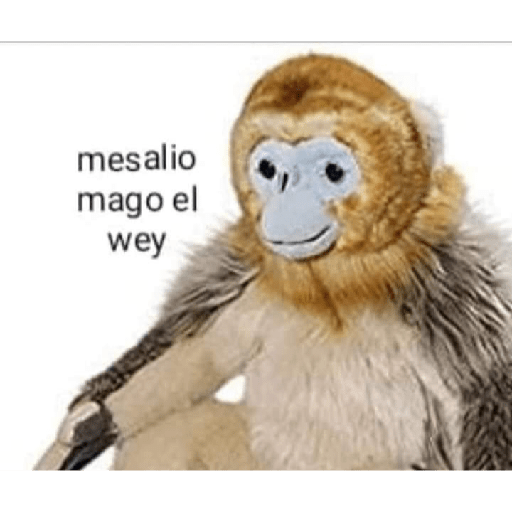 Xddd 5