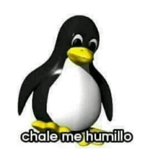 Xddd 2