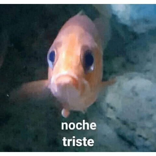 Xddd 3