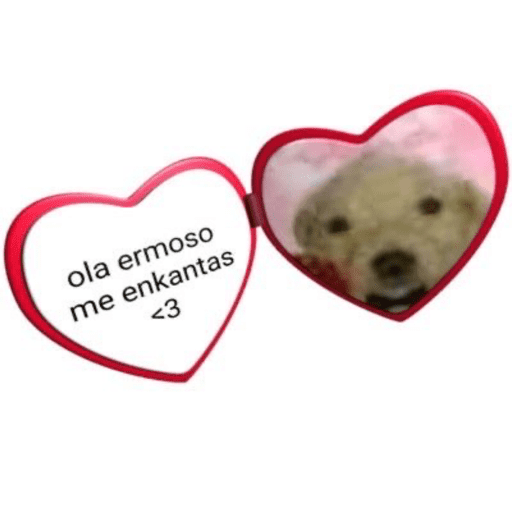 Amor💖💖💖 8