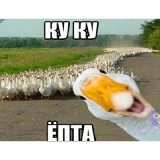 Мои стикеры 15