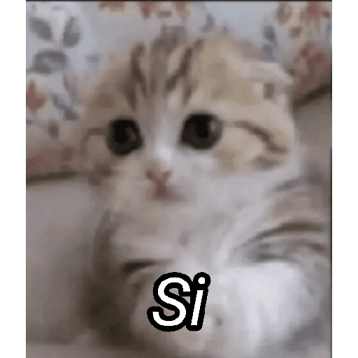 Gato Modo Serio 2