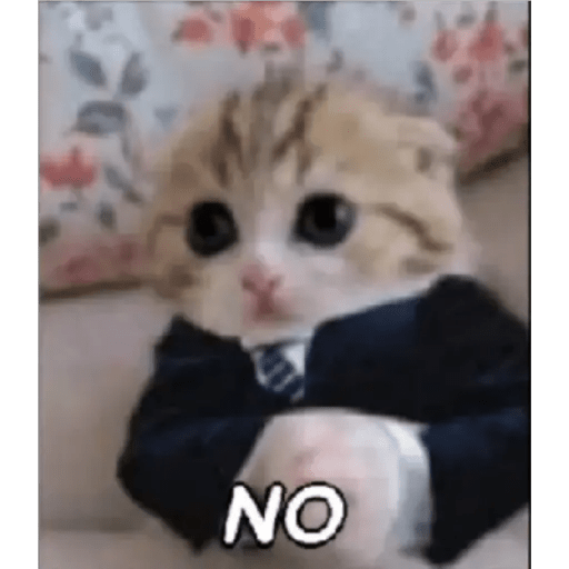 Gato Modo Serio 11