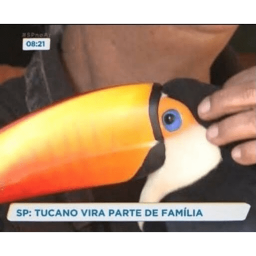 Novos memes 23