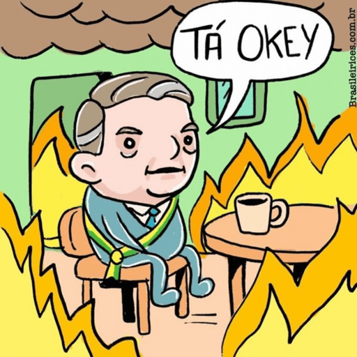 Novos memes 4