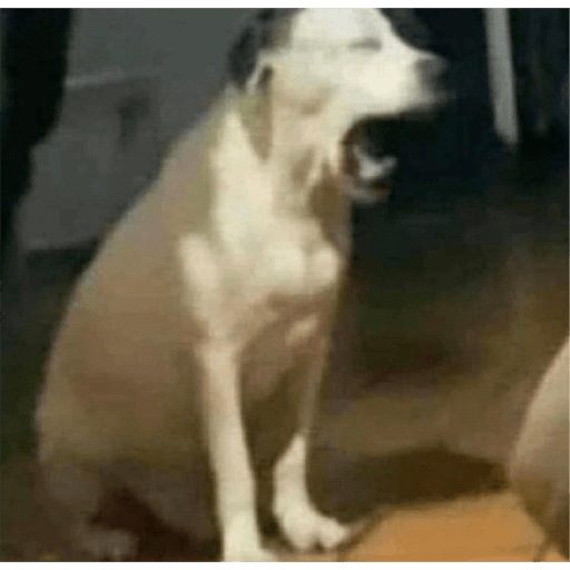 Sii 3