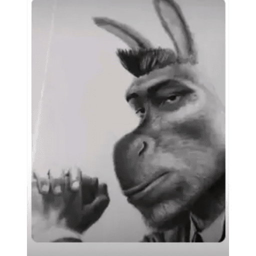Bruh 5