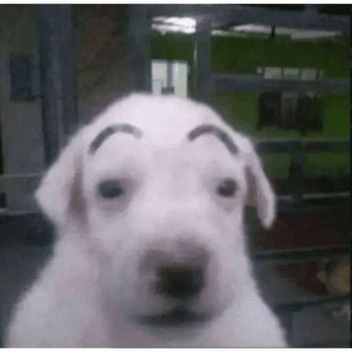 Bruh 17
