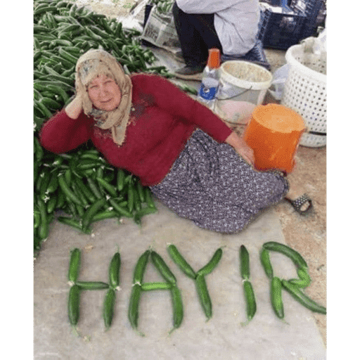 Elifinho cıkartmalar 8