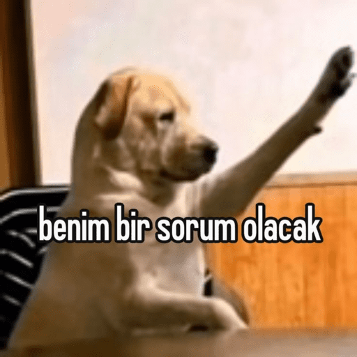 Elifinho cıkartmalar 10