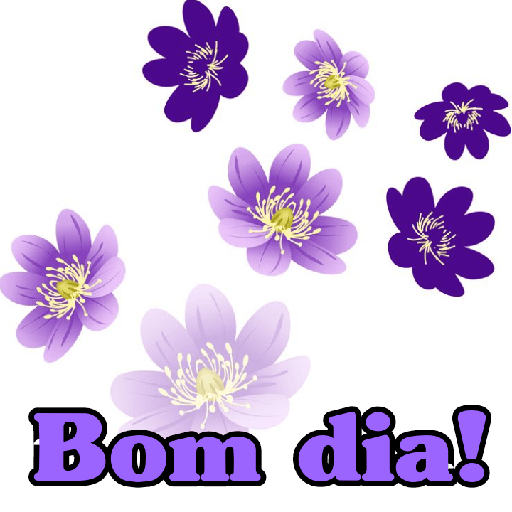 Felicidade 20