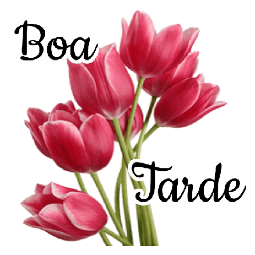 Felicidade 22