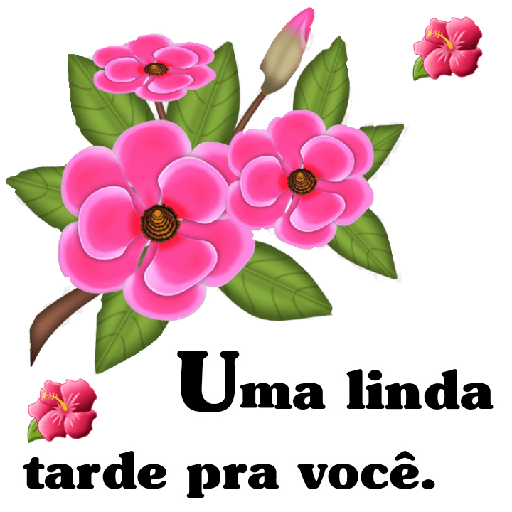 Felicidade 17