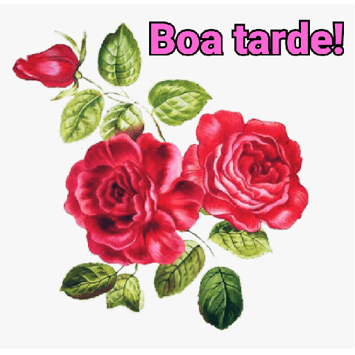 Felicidade 11
