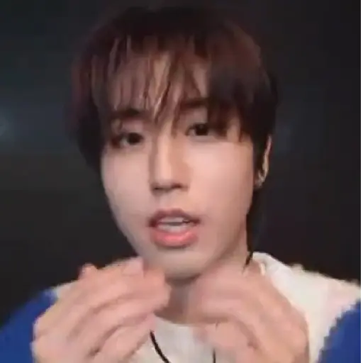 StrayKids 17 4