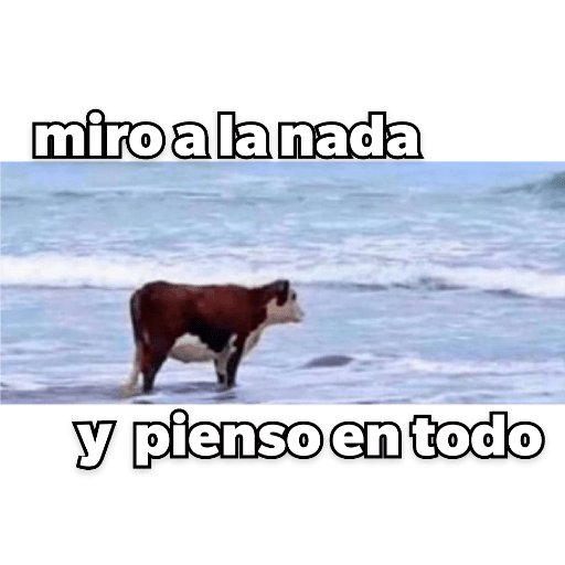Variado3 13