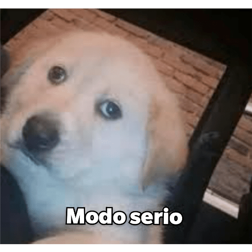 Variado3 26